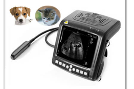 兽用B型超声波诊断仪