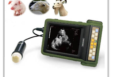 ultrasound for swine
 ovine
 goat
 alpacca