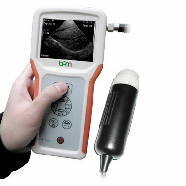 Scanner à ultrasons portable BPM-VU1 pour vétérinaire