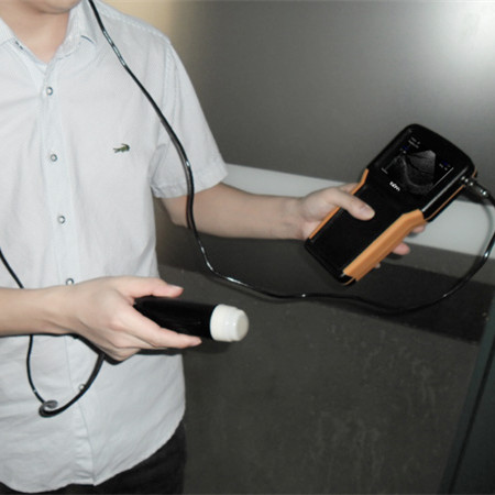 BPM-VU1 Handheld Ultrasound Scanner for Veterinary