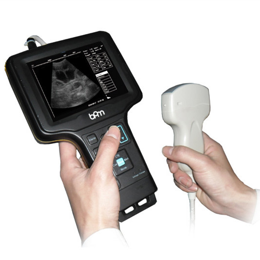 BPM-VU6 Scanner à ultrasons portatif pour vétérinaire