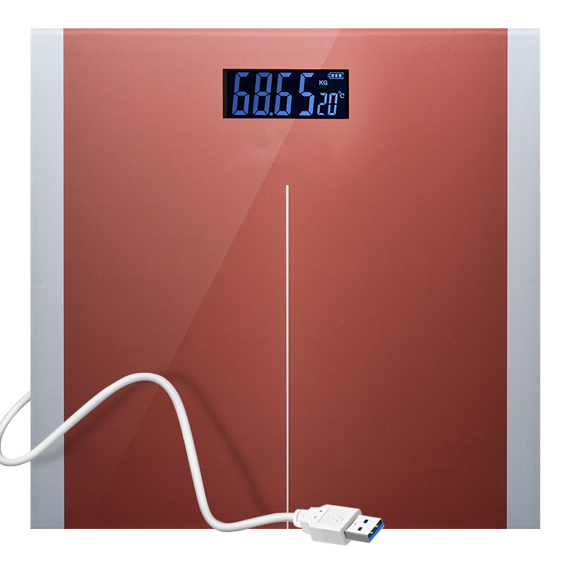 BPM-WS06 USB Digital Scale