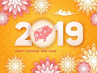 Happy Chinese New Year of Pig