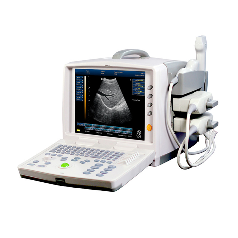 BPM-BU8 Scanner à ultrasons 3D portable le plus économique