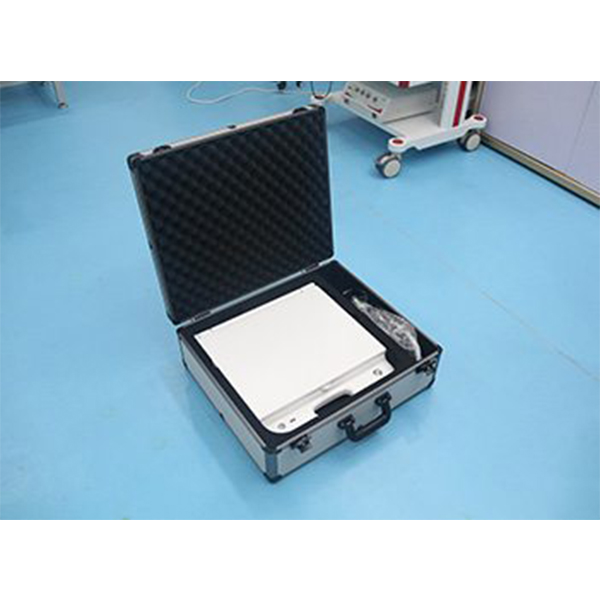 BPM-ESP1 Portable Endoscopy Unit