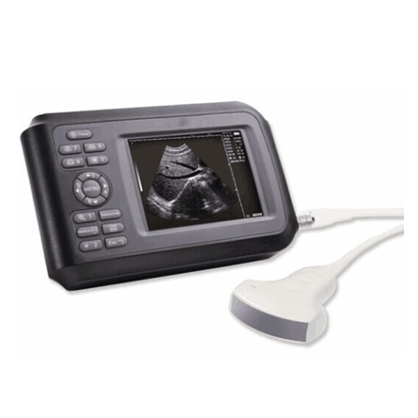Scanner à ultrasons portable BPM-BU10V pour vétérinaire