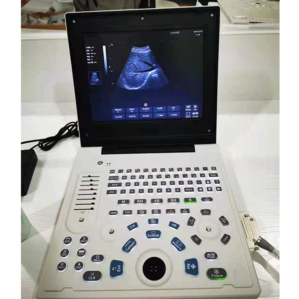 BPM-BU17V Portable Ultrasound Scanner for Veterinary
