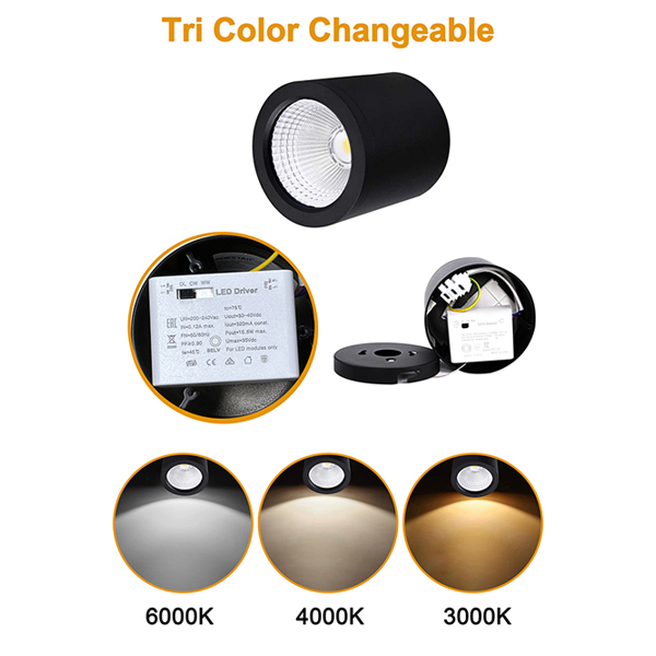 LED surface mount downlight dimmable
