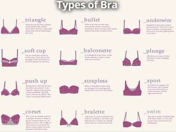 The different bra types