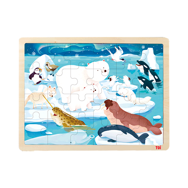 TOI Classic Puzzle Artic Animal Intelligent Education Toy Wood Puzzles For Children Aged 3+
