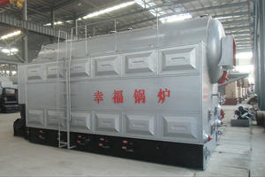 DZL Series Biomass Boiler