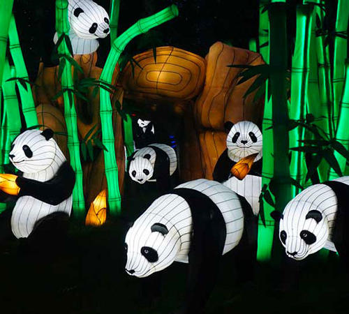 Chinese animal lanterns