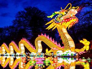 Chinese dragon lantern decorated for events