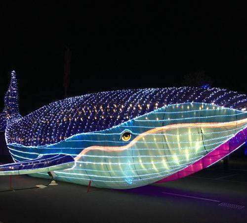 灯光雕塑-公园-蓝鲸造型
