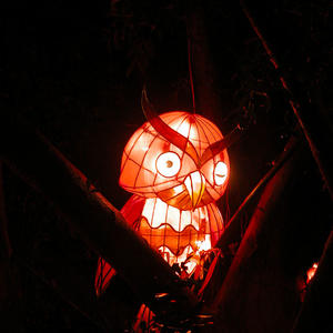 Lunar New Year Lanterns-The Owl