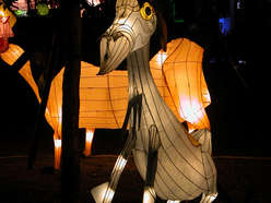 雕塑彩灯-驴
