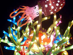 雕塑彩灯-海底世界-章鱼