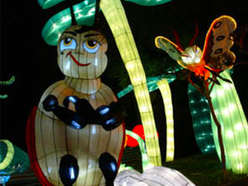 雕塑彩灯-童话系列-昆虫