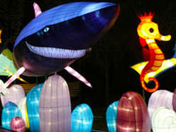 雕塑彩灯-动画-海底总动员-鲨鱼