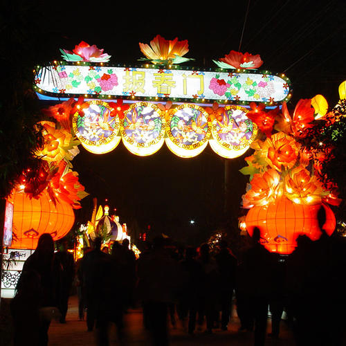 china lights-Flowers-Door