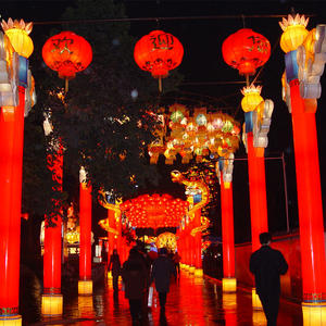 china lights-Street lighting- Chinese Style