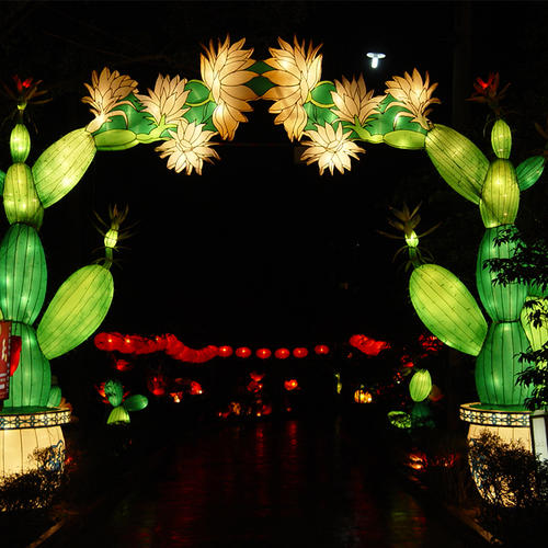 glow lanterns- Cactuses