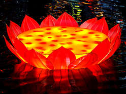 chinese new year lantern craft-lotus