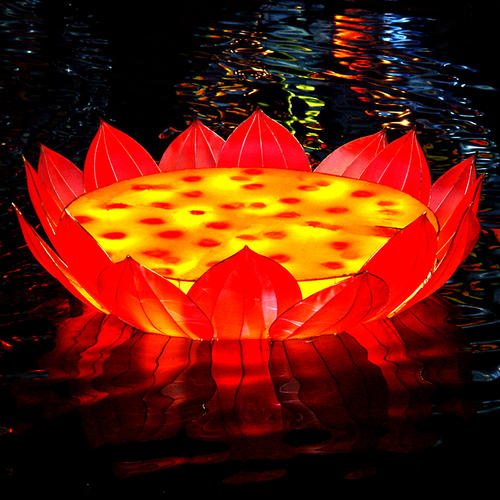 chinese new year lantern craft-lotus