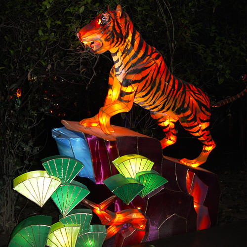lantern cost-Animals-tiger