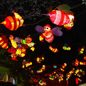 lantern supplier-insect- Bee