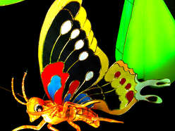 雕塑彩灯-昆虫-蝴蝶