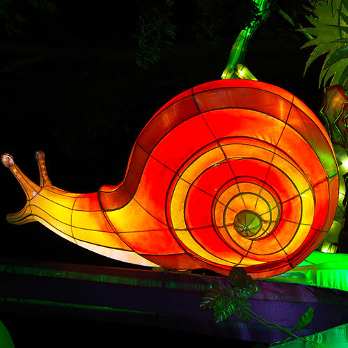 festival lamp- insect- snail