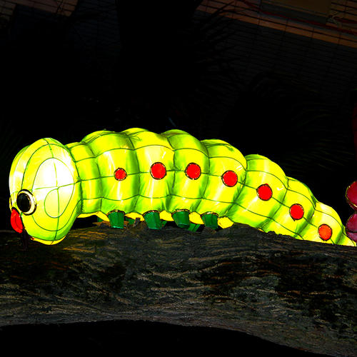 china lights-Caterpillar