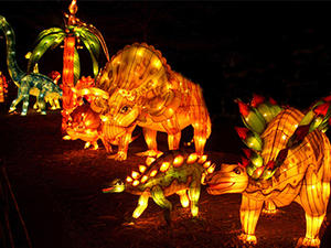Chinese Lantern Design-Dinosaur Lantern