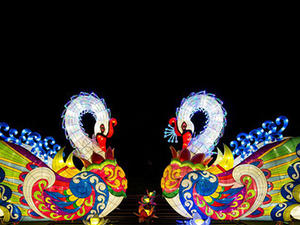 chinese lantern supplier
