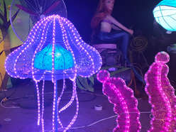 Lantern technique-LED cuplture- jellyfish 