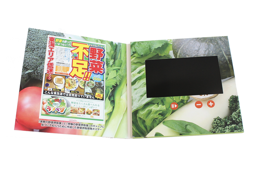 Made in China hot promotional gift 7inch 1GB lcd video brochure