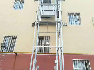 Vertical Food Delivery Ladder