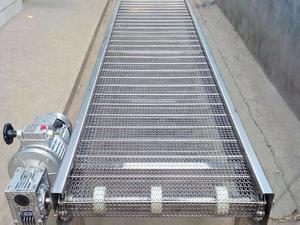 Customized Net Chain Conveyor supplier