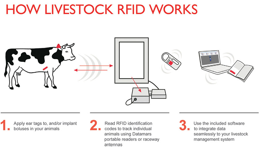 RFID animal tags