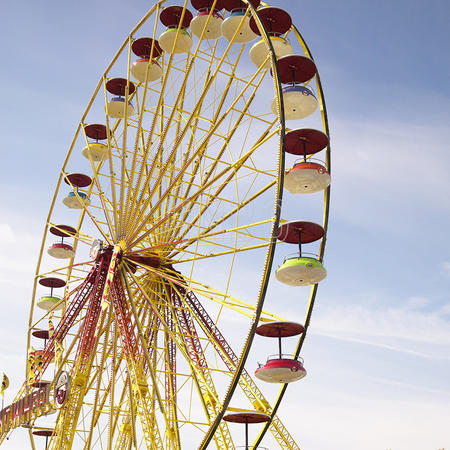 50m Park Ferris Wheel for Sale