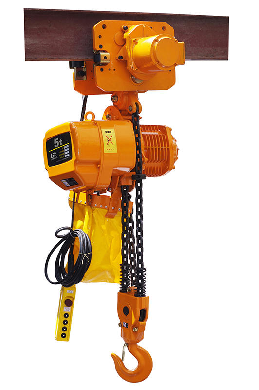 What are the shocks that Electric Hoist is vulnerable to?