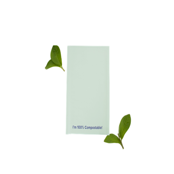 OEM al por mayor Logotipo personalizado Impreso compostable Embalaje de envío Poly Sobres acolchados Kraft Bubble Mailer