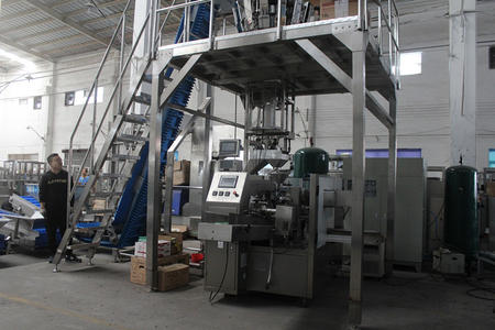Automatic Premade Bag Rotary Packing Machine