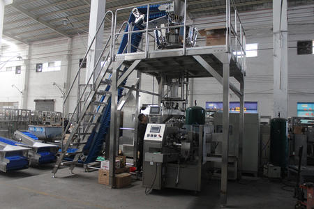 Automatic Premade Bag Rotary Packing Machine