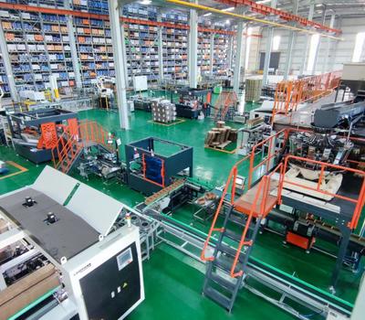 Exploring the Varied Levels of Labor and Automatic Packing Line Across Countries