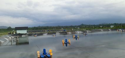 इंडोनेशिया में पुलाऊ सेराम आयरलैंड में झींगा तालाब अस्तर परियोजना