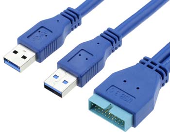 20 PIN Male to Double USB Type A Male Cable