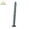 Various Sizes Of Tapping Screw Manufacturer