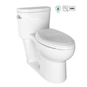 OEM One Piece Elongated Toilet Factory
